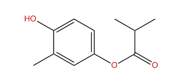 4-Hydroxy-3-methylphenyl isobutyrate
